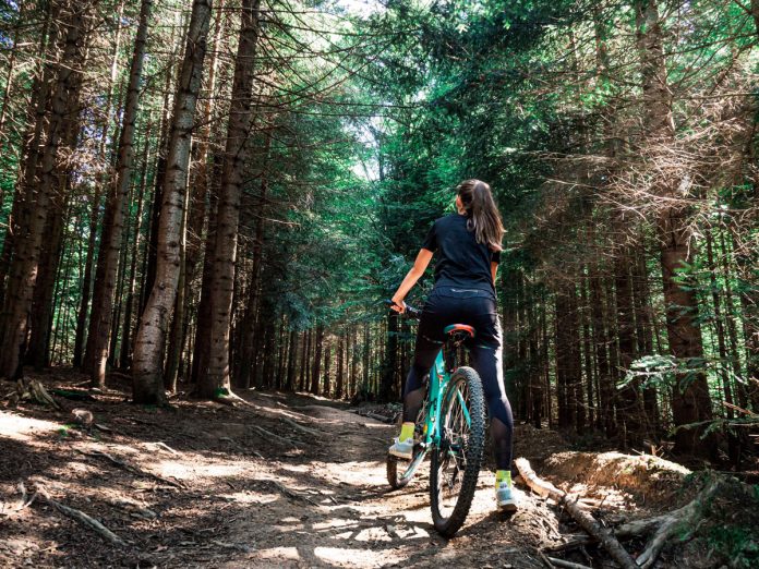 Radfahrerin im Wald, Credit: Alina Fedorchenko, Unsplash