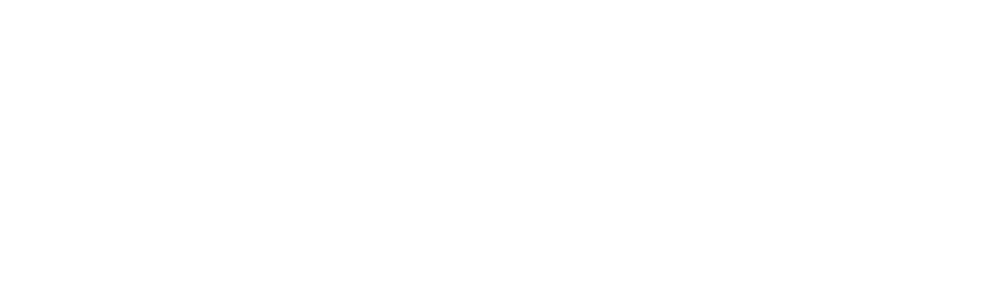 big5academy Logo Weiss